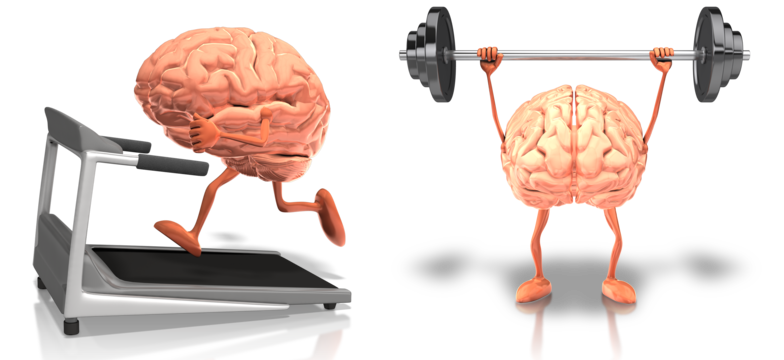 Exercise Can Reduce the Risk of Cognitive Decline