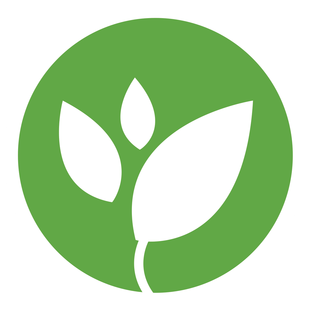 Green Leaf Icon