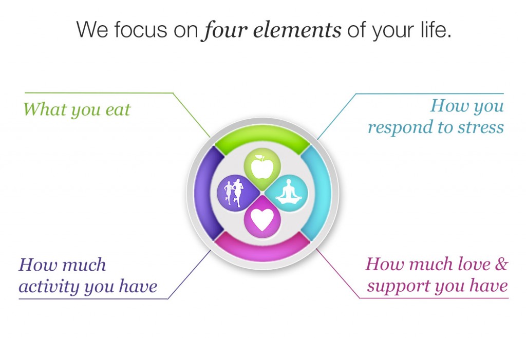 Ornish Lifestyle Medicine Four Elements