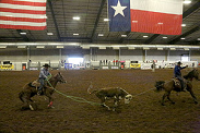 Midland Rodeo