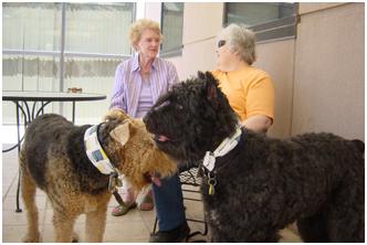 Midland Memorial Hospital Pet Therapy Volunteers